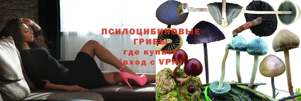 герыч Зерноград
