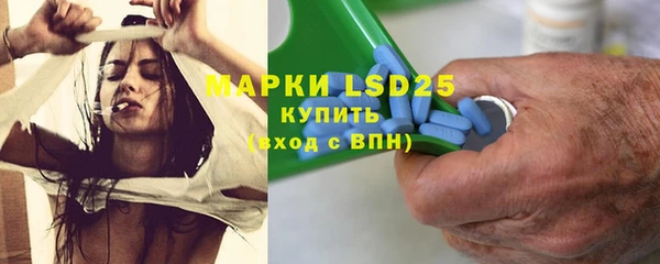 хмурый Зеленокумск