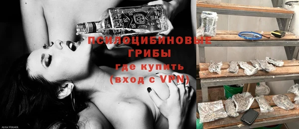 крисы Зеленодольск
