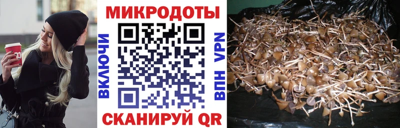 Галлюциногенные грибы GOLDEN TEACHER  Малая Вишера 