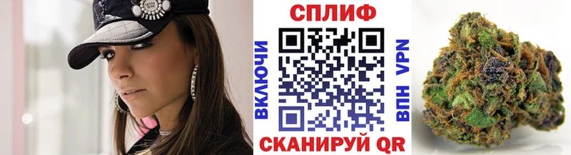KRAKEN зеркало  Малая Вишера  Бошки марихуана индика 